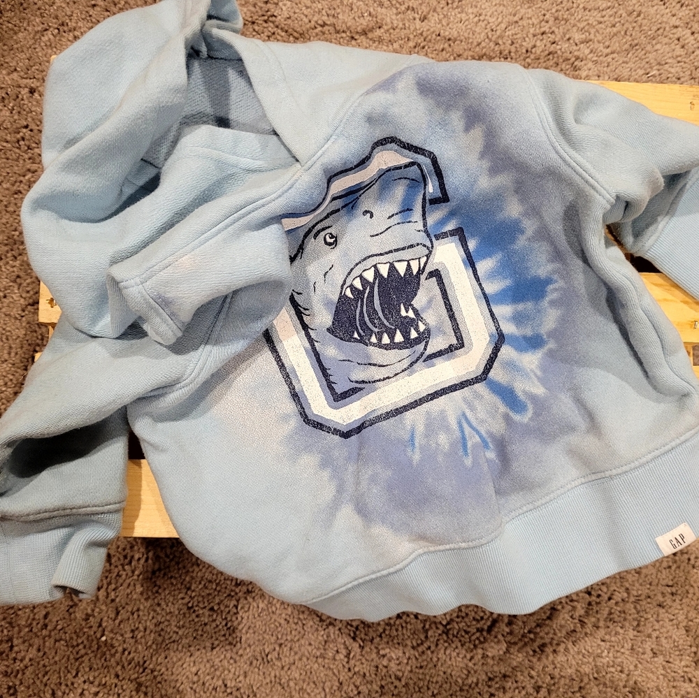 2 for 1 Gap hoodies, 12-18mos